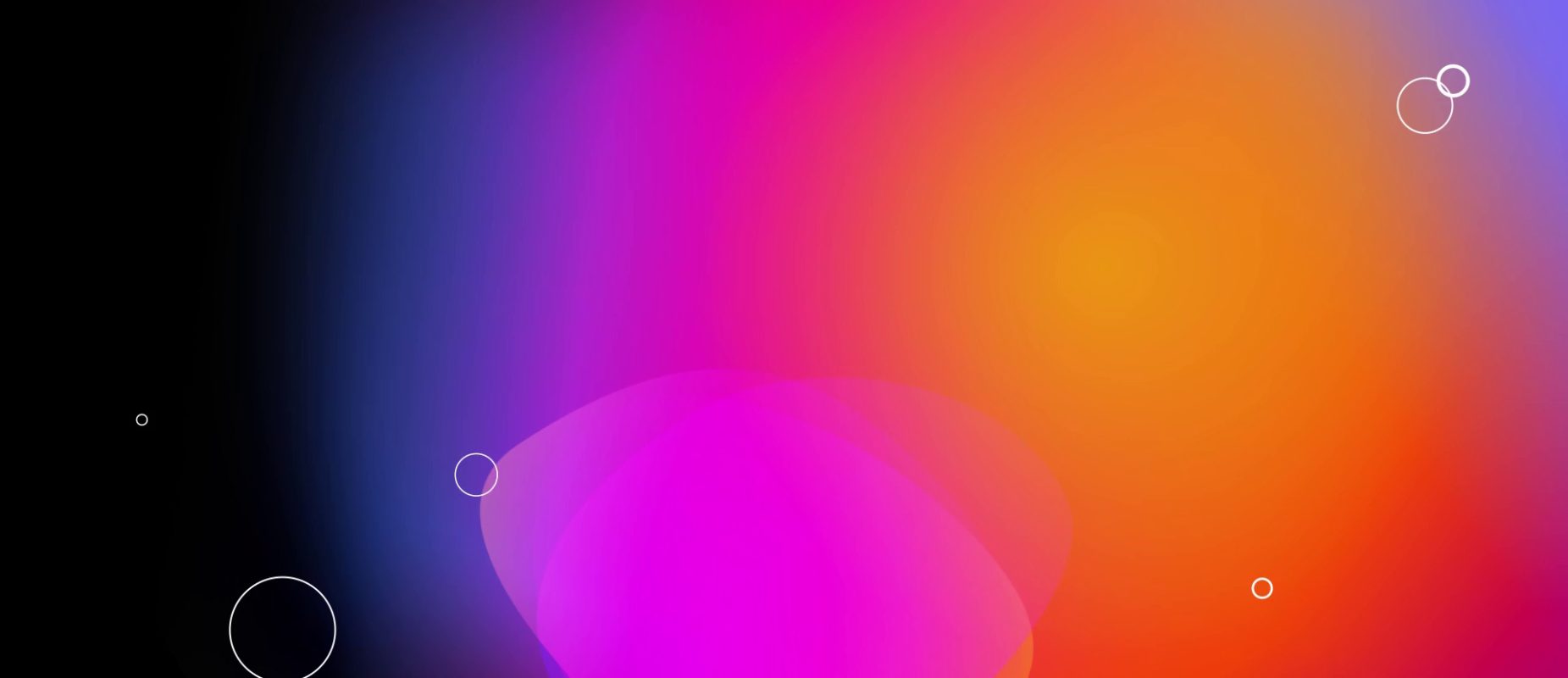 multicolor gradient behind petals and geometric shapes